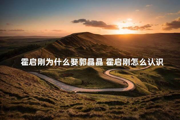 霍启刚为什么娶郭晶晶 霍启刚怎么认识郭晶晶的